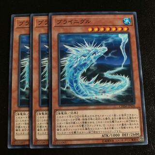 ブライニグル ノーマル