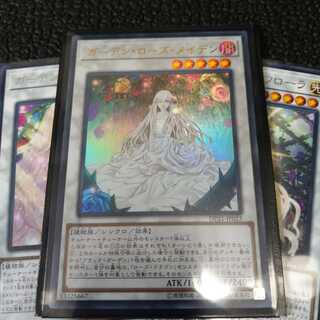 【オマケ付】ガーデン・ローズ・メイデン