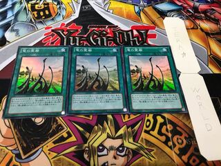 竜の霊廟 スーパー 3枚セット てら