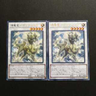 源竜星-ボウテンコウ レア　2枚