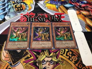 Tiger Dragon Super Set of 3 Tera