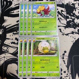 ヒメンカ　ワタシラガ