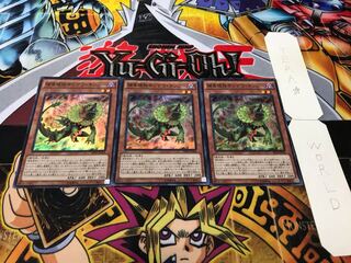 捕食植物サンデウ・キンジー スーパー 3枚セット てら