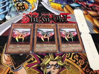 異次元竜 トワイライトゾーンドラゴン スーパー 3枚セット てら
