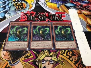 捕食植物ドロソフィルム・ヒドラ スーパー 3枚セット てら