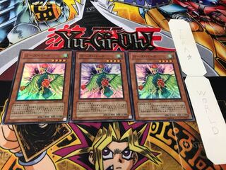 ローズ・バード スーパー 3枚セット てら