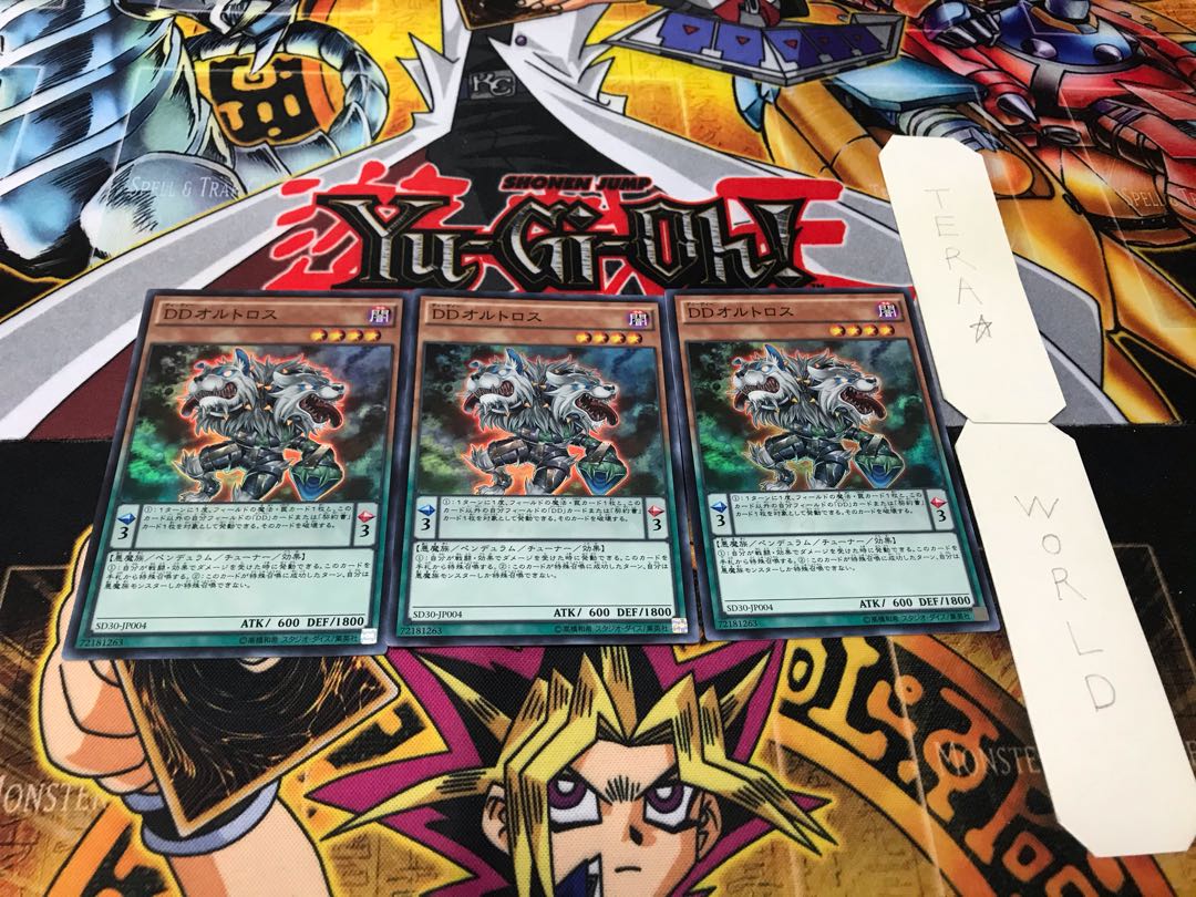 DDオルトロス スーパー 3枚セット てら