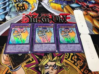 レインボー・ネオス スーパー 3枚セット てら