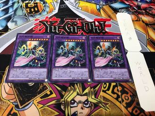 月光舞豹姫 スーパー 3枚セット てら