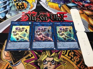 水精鱗-サラキアビス スーパー 3枚セット てら