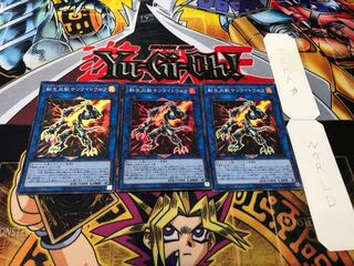 転生炎獣サンライトウルフ スーパー 3枚セット てら