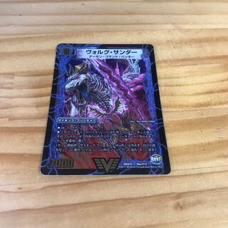 Volg Zapdos｜Lightning Beast Volg Tiger (top)