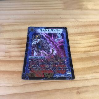 Volg Zapdos｜Lightning beast Volg Tiger (top) VIC