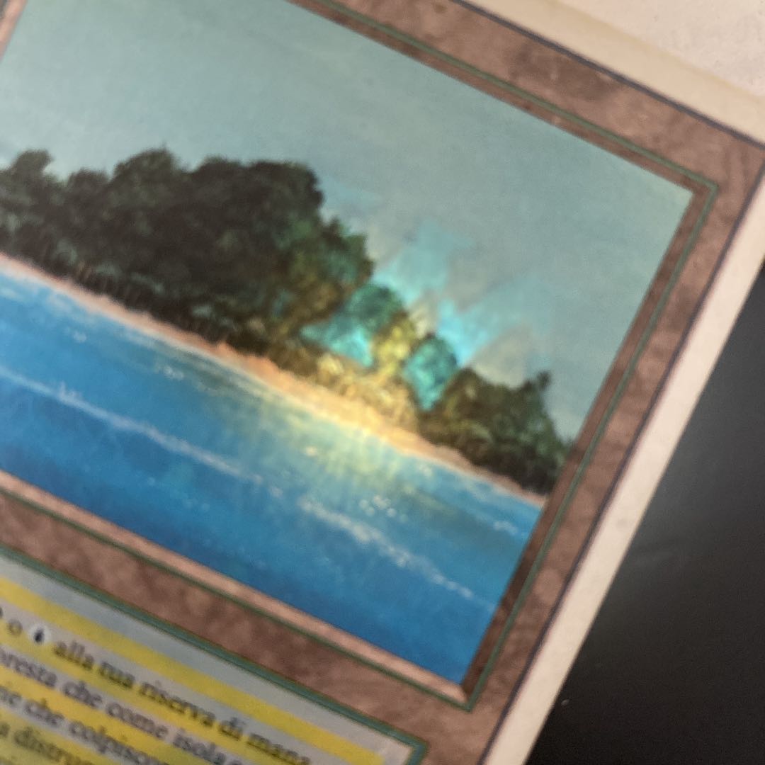 MTG Tropical Island デュアルランド