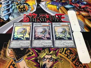 白闘気海豚 スーパー 3枚セット てら