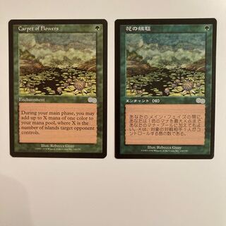 Carpet of flowers 花の絨毯　英語、日本語版2枚セット