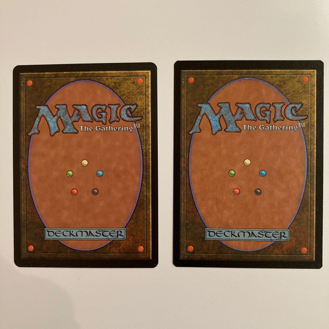 Carpet of flowers 花の絨毯　英語、日本語版2枚セット