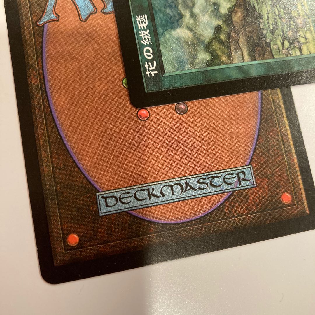 Carpet of flowers 花の絨毯　英語、日本語版2枚セット