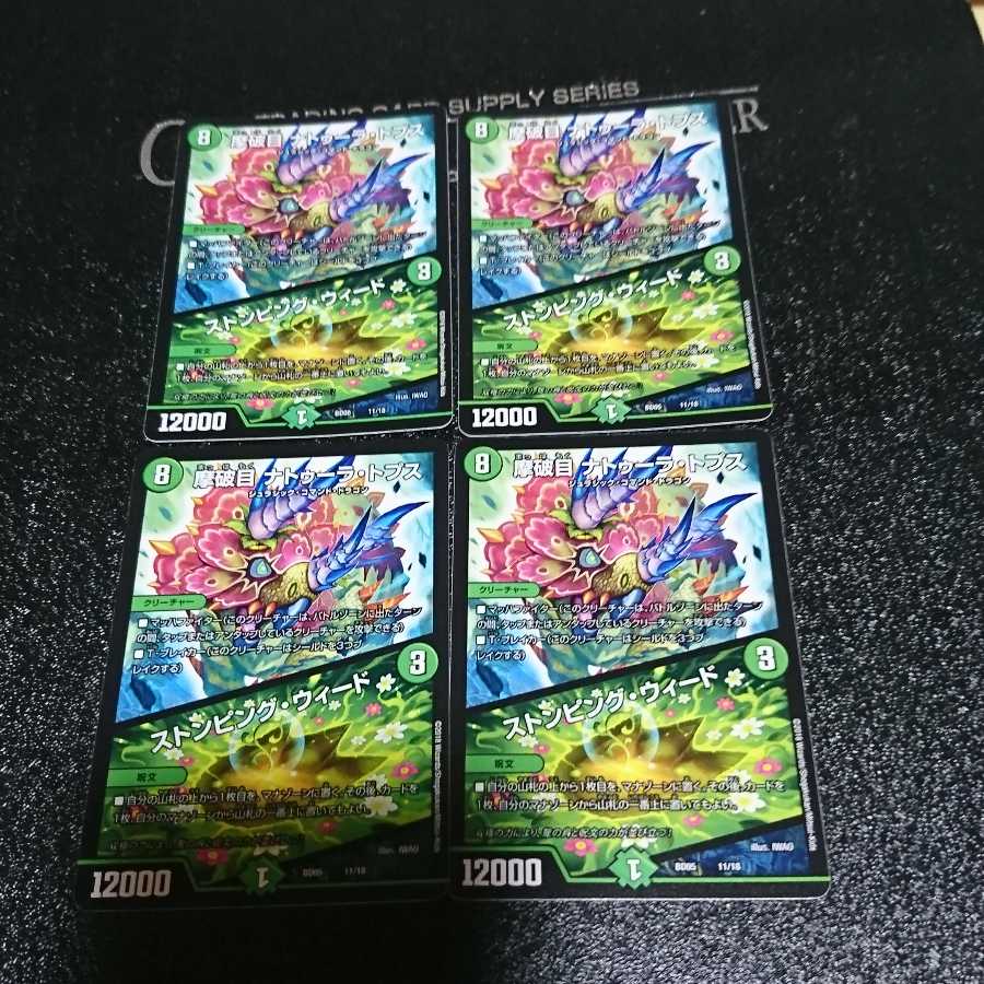 摩破目 ナトゥーラ・トプス|ストンピング・ウィード