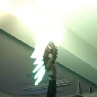 ナギサ様専用 エモG