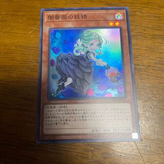 闇薔薇の妖精 スーパーレア