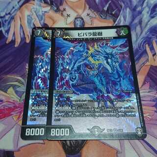 ビバラ龍樹 2枚