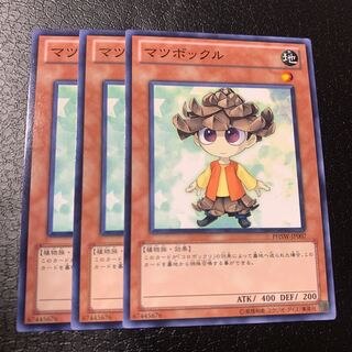 マツボックル ノーマル