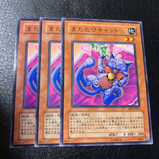 またたびキャット ノーマル