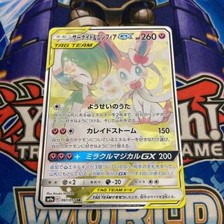 サーナイト＆ニンフィアGX SA