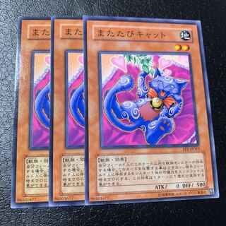 またたびキャット ノーマル