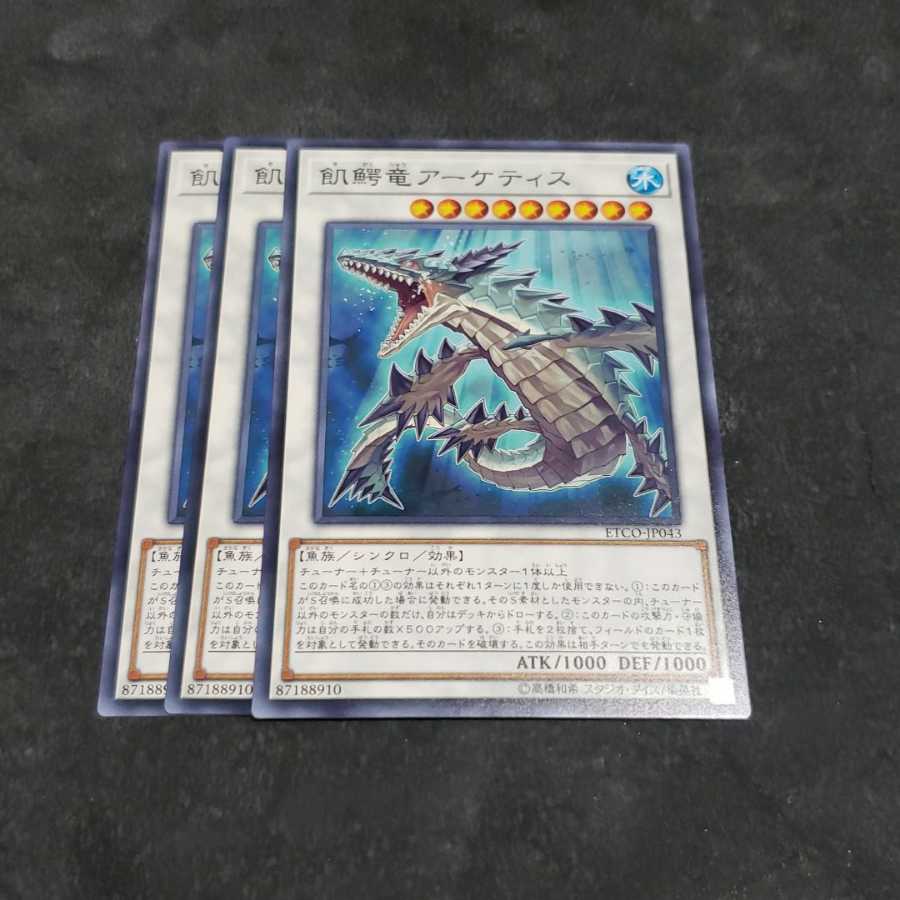 飢鰐竜アーケティス ノーマル 遊戯王 虎ふぐ