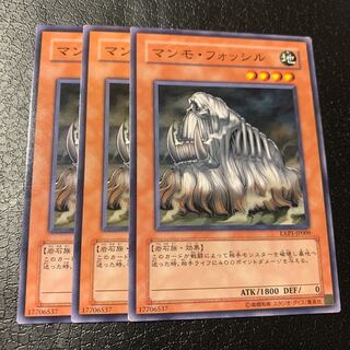 マンモ・フォッシル ノーマル