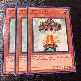 マツボックル ノーマル