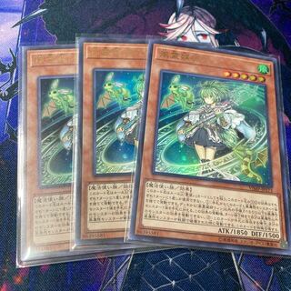 遊戯王　風霊媒師ウィン　3枚　ウルトラ