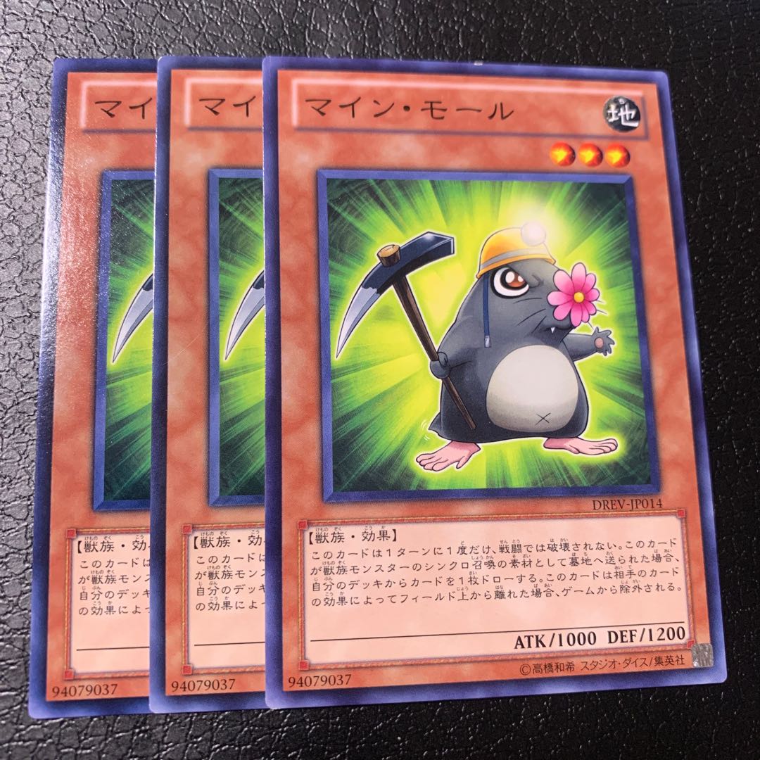 マイン・モール ノーマル