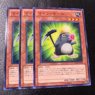 マイン・モール ノーマル