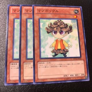 マツボックル ノーマル