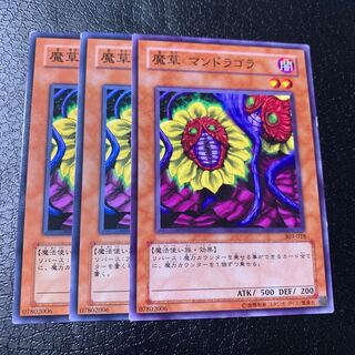 魔草 マンドラゴラ ノーマル