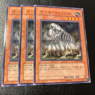 マンモ・フォッシル ノーマル