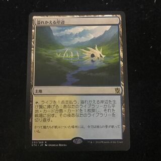 溢れかえる岸辺　KTK日1枚