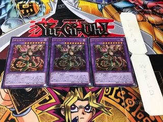 捕食植物ドラゴスタペリア ウルトラ 3枚セット てら