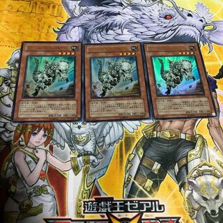 フォッシル・ダイナ パキケファロ ウルトラレア