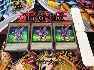 Seiyaryu Secret 3-Piece Set - Terra