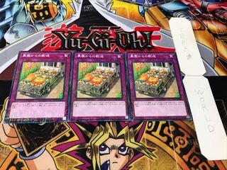 農園からの配送 ミレニアム 3枚セット てら