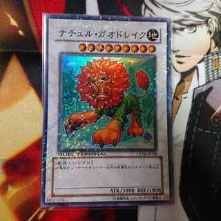 ナチュル・ガオドレイク