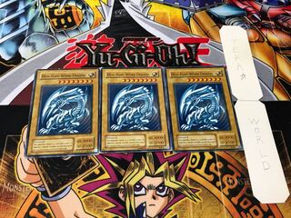 英語版 青眼の白龍 2期ver ノーマル 3枚セット てら
