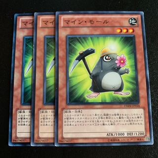 マイン・モール ノーマル