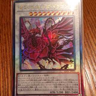 Black Rose Dragon Presic