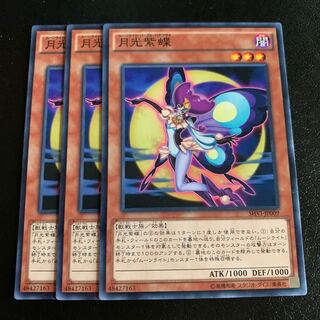 月光紫蝶 ノーマル