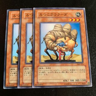 みつこぶラクーダ ノーマル